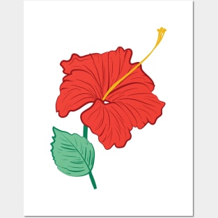 Hibiscus Posters and Art